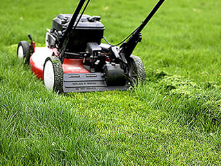 Mowing Alton, IL